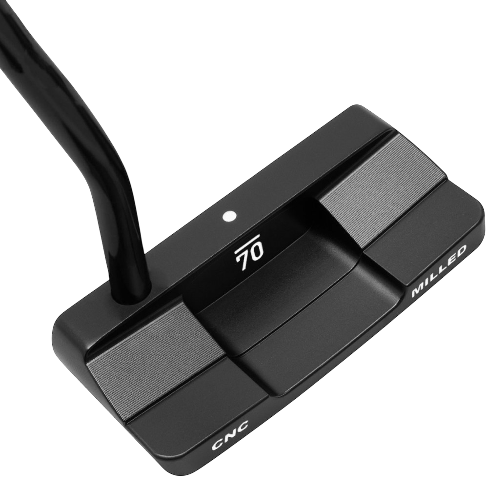 Sub 70 TAIII 254 wide blade putter rear cavity view